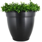 Ovi-Planter